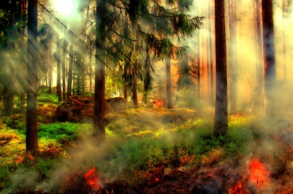 Минэкология Якутии: Природный пожар возник в нацпарке Каталык